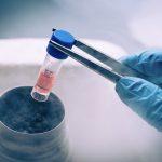 Stem Cells in a test tube.