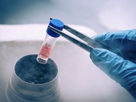 Stem Cells in a test tube.